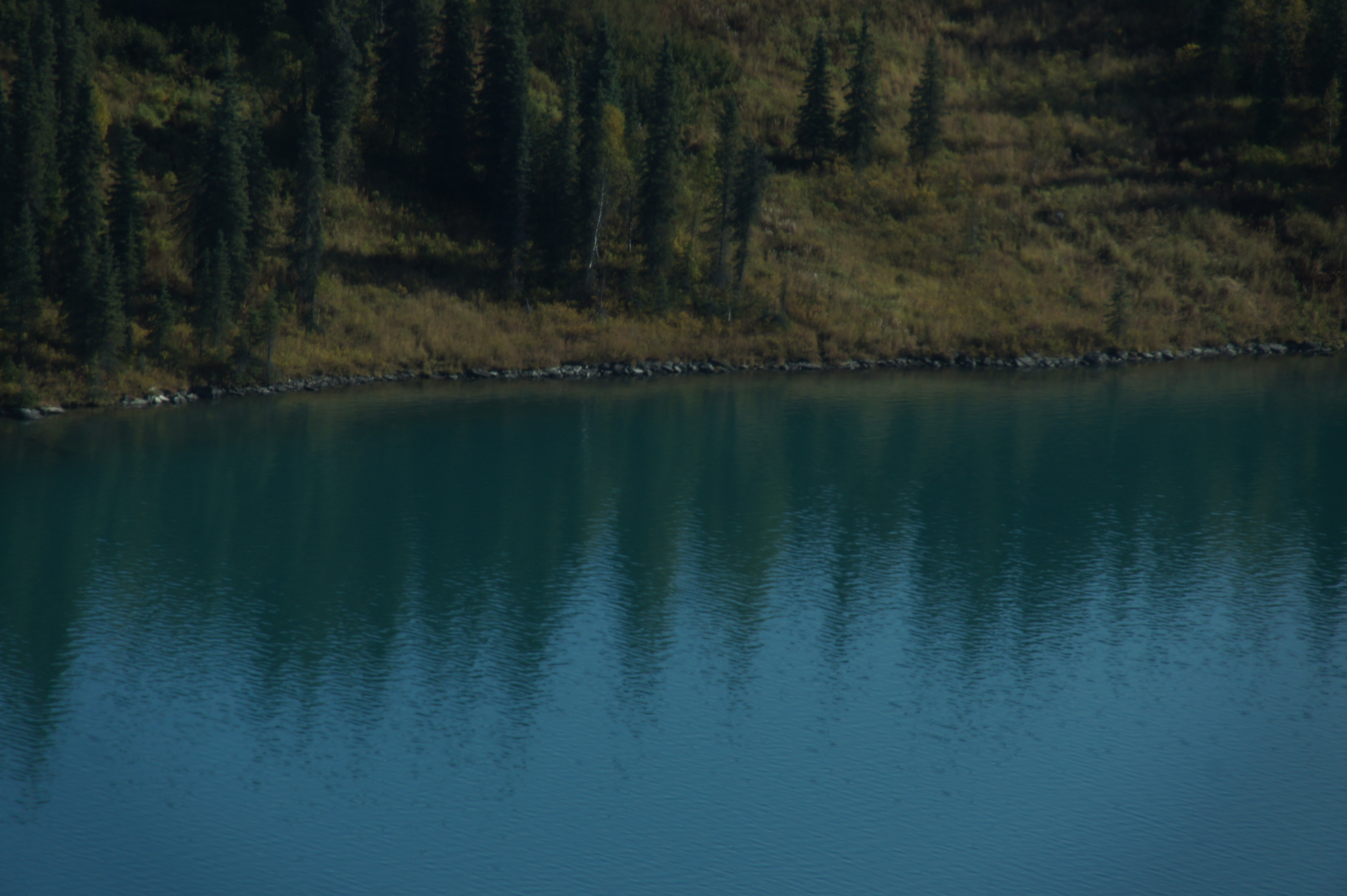 Click to return to the thumbnail index